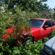 Illustration for article titled A Michigan Town Is Forcing This Man To Sell 20 Old Cars Off His Property Every Month